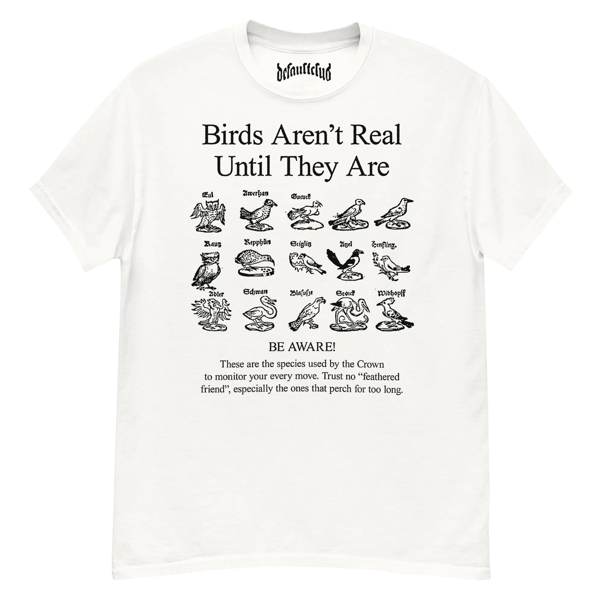 Birds Aren't Real Tee