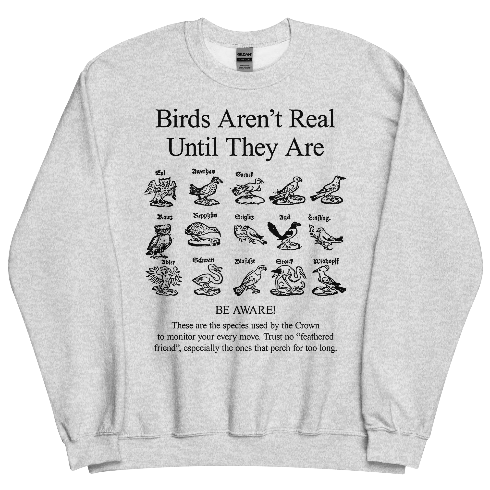 Birds Aren't Real Sweatshirt