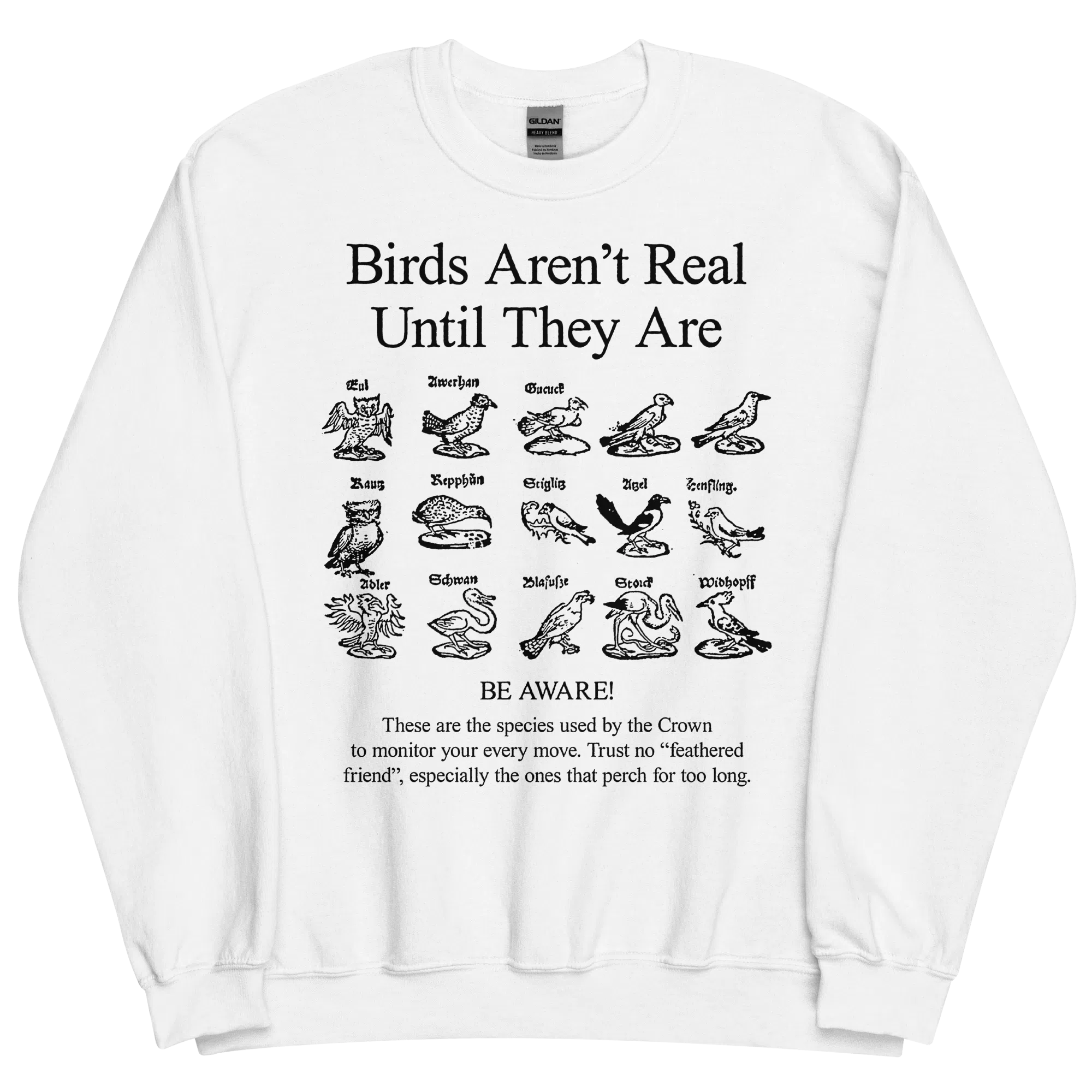 Birds Aren't Real Sweatshirt